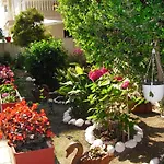 Nikolas
